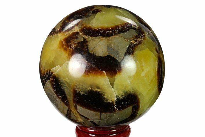 2.6" Polished Septarian Sphere - Madagascar